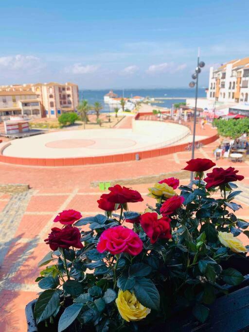 Apartament T2 Neuf + Bateau / Piscine Super Infrastructures Le Barcarès Zewnętrze zdjęcie